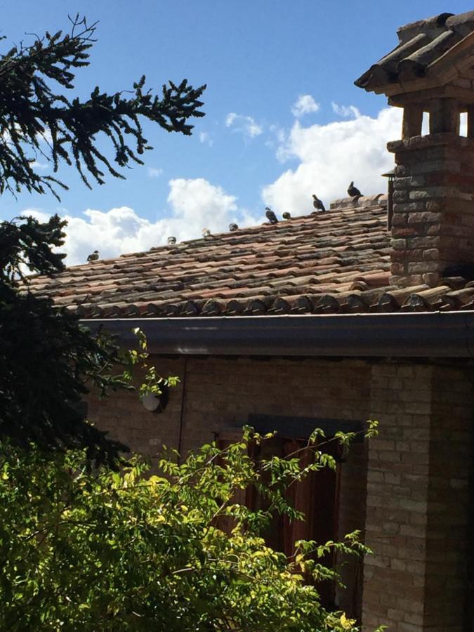 Green B&B Urbino Ca Del Vento ภายนอก รูปภาพ
