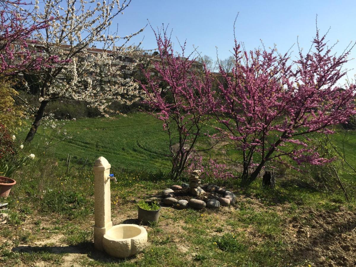 Green B&B Urbino Ca Del Vento ภายนอก รูปภาพ