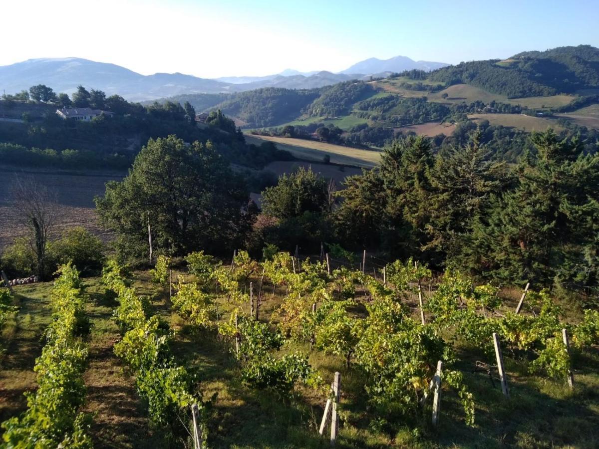 Green B&B Urbino Ca Del Vento ภายนอก รูปภาพ