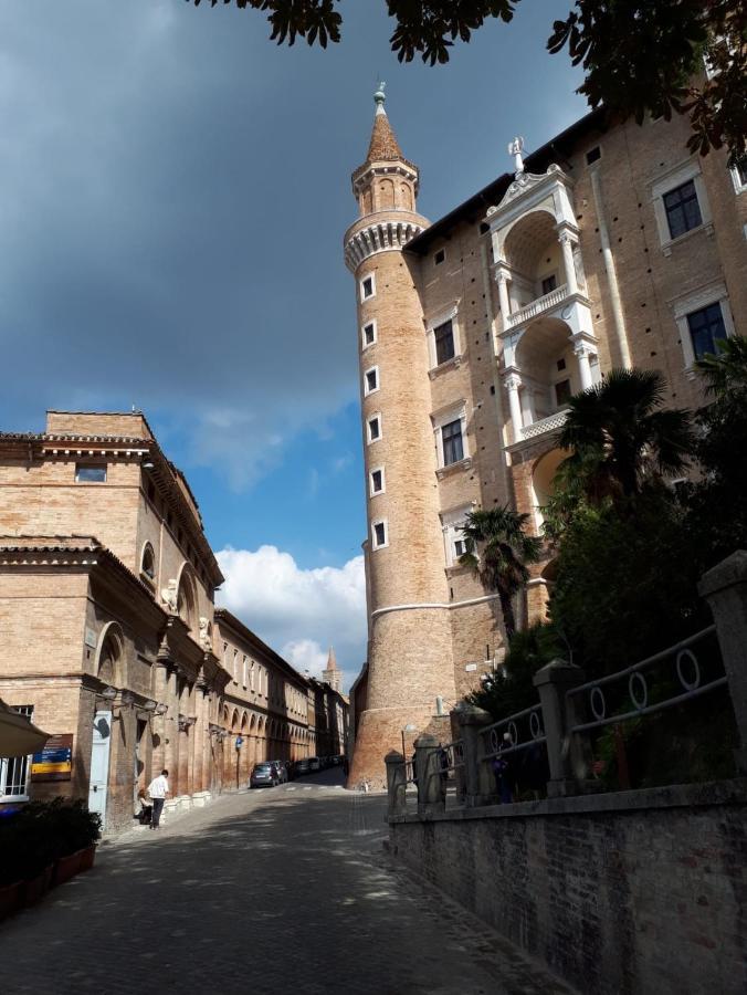 Green B&B Urbino Ca Del Vento ภายนอก รูปภาพ